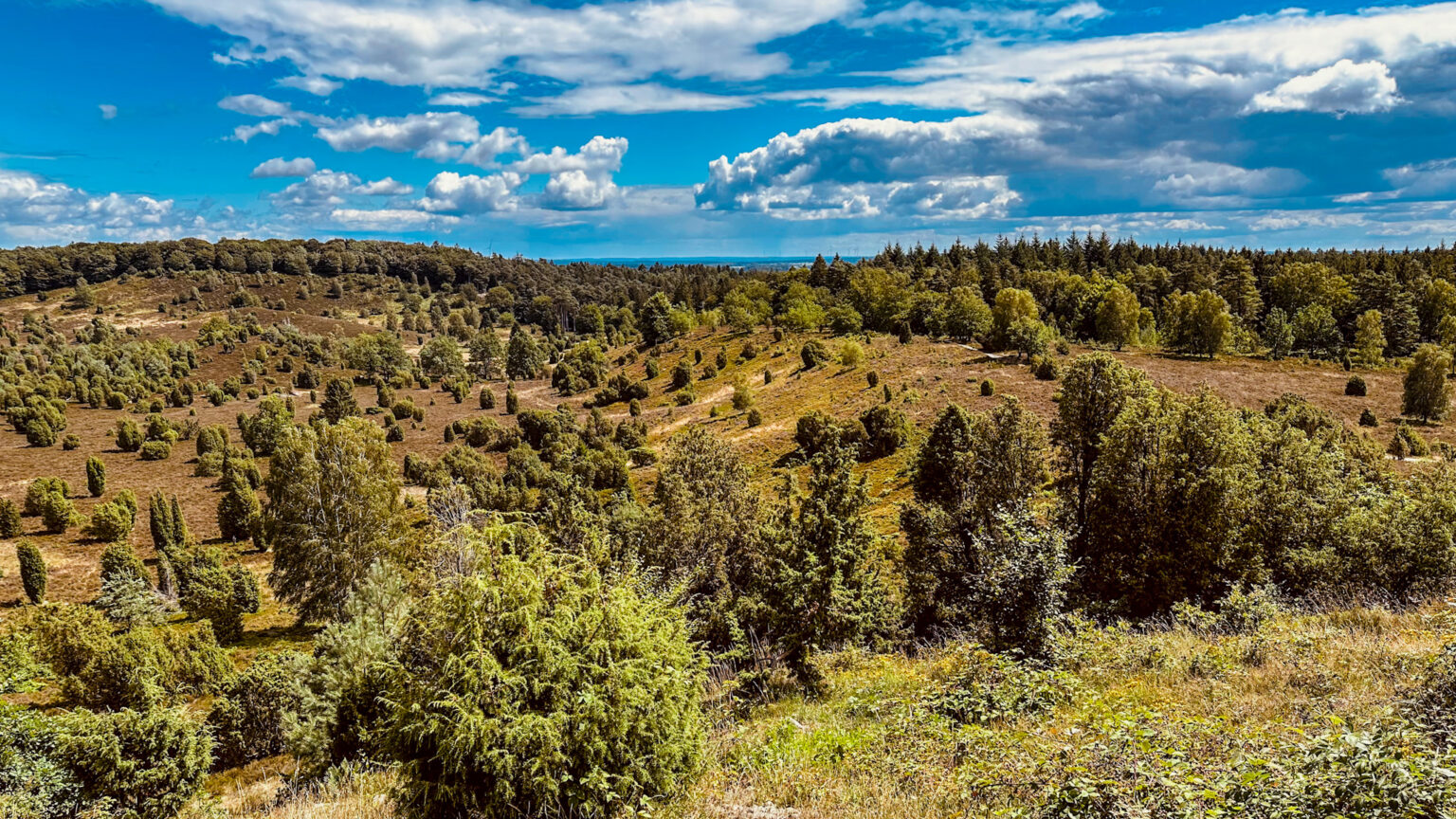 リューネブルガーハイデに魅せられて 〜 エリカ街道 〜 ドイツ流！Keikoの街歩きガイドブック